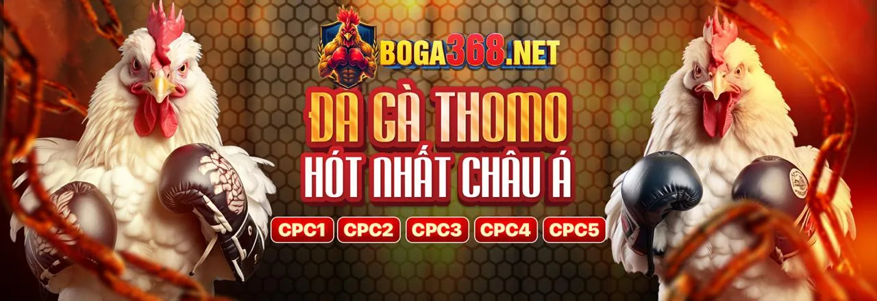 Khuyến Mãi Độc Quyền King98 2026